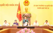 Cần có cơ chế đột phá cho đơn vị hành chính, kinh tế đặc biệt