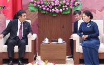 Chủ tịch Quốc hội tiếp Đoàn Đảng Dân tiến Nhật Bản