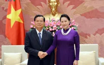 Chủ tịch Quốc hội tiếp Đoàn Ủy ban Hòa bình và Đoàn kết Lào