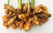 Hưng Yên: Đa dạng hóa sản phẩm từ củ nghệ, ổn định thu nhập