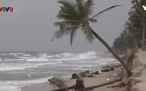 Bờ biển Hội An sạt lở nghiêm trọng