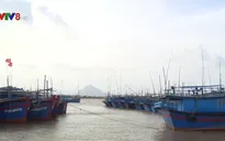 Ngư dân thiếu nơi neo đậu tàu thuyền mùa mưa bão