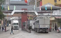 Vì sao doanh nghiệp nhập khẩu nông sản dễ dàng trốn thuế GTGT?