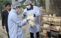 Nghiêm cấm vận chuyển, buôn bán gia cầm qua biên giới