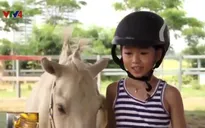 Cưỡi ngựa - Thú chơi mới tại Hà Nội