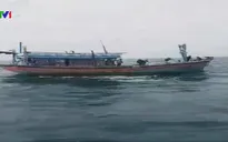 Cứu 7 ngư dân Quảng Bình trên tàu cá hỏng máy