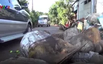 Đồng Nai: Dân dùng đá chặn xe né trạm thu phí cày nát đường dân sinh