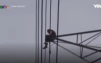 Thanh niên nghi "ngáo đá" trèo lên cột điện cao thế