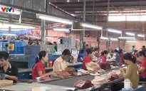 Thiếu quy hoạch vùng nguyên liệu cho da giày