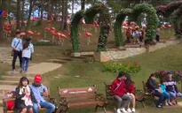 Thung lũng Tình Yêu - Điểm hẹn siêu lãng mạn dịp Valentine
