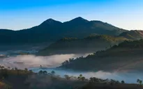 Vẻ đẹp sương sớm núi Lang Biang