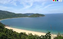 Nhiều DN Ấn Độ thưởng nhân viên chuyến du lịch Đà Nẵng, Phú Quốc
