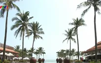 APEC 2017 - Cơ hội quảng bá du lịch Đà Nẵng