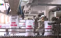 Số phận 12 dự án thua lỗ nghìn tỷ sẽ ra sao?