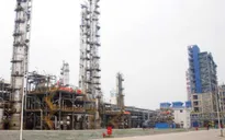 Bộ Tài chính đề xuất không giãn nợ dự án Đạm Ninh Bình