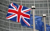 EU kêu gọi Anh không trì hoãn đàm phán Brexit
