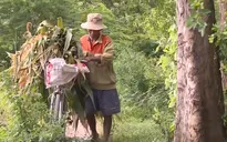 Tiền Giang: 600 hộ dân bị ảnh hưởng do dự án chậm triển khai