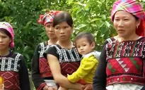 Vấn đề bình đẳng giới ở vùng dân tộc thiểu số Việt Nam