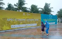 Đà Nẵng chỉnh trang đường phố chào đón APEC 2017 sau bão số 12