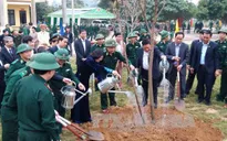Phó Chủ tịch nước tham dự Tết trồng cây tại Hòa Bình