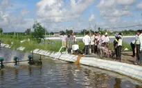 Kiên Giang: Sản lượng thủy sản đánh bắt tăng cao