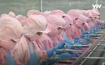 Phê duyệt giải pháp khắc phục "thẻ vàng" của EU