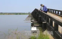 Thừa Thiên - Huế: 1,5 tỷ đồng khắc phục đập Cửa Lác xuống cấp