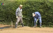 Người già Nhật Bản thuê đất làm nông nghiệp