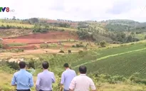 Đăk Nông thu hồi 12ha đất quốc phòng cấp nhầm