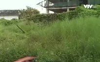 Hà Nội sẽ thu hồi hàng nghìn m2 đất dự án bỏ hoang