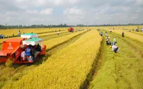 Tích tụ, tập trung ruộng đất và những nút thắt cần tháo gỡ
