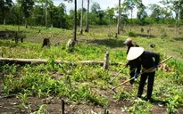 Khó khăn trong hỗ trợ đất ở, đất sản xuất cho hộ nghèo ở Gia Lai