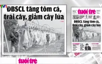 ĐBSCL sẽ phát triển theo hướng "tăng tôm cá, trái cây, giảm cây lúa"