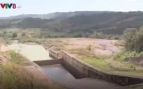 Đăk Nông: Hồ đập có nguy cơ thiếu nước tưới nghiêm trọng