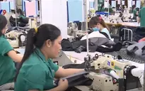 Xuất khẩu dệt may tăng nhưng doanh nghiệp lao đao vì nhập khẩu