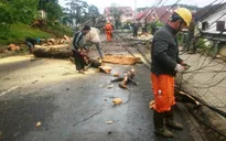 Phú Yên: Tập trung nhân lực, vật lực khắc phục sự cố điện