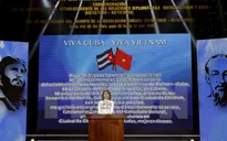 Lãnh đạo Đảng, Nhà nước gửi điện mừng Ngày cách mạng Cuba, Palestin và Quốc khánh nước Cộng hòa Haiti