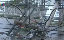 Cấp điện trở lại cho một số khu vực bị bão số 12 đổ bộ