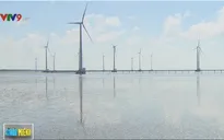 Bộ Công Thương đề nghị tăng giá mua điện gió