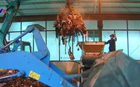 Việt Nam đã có công nghệ điện - rác