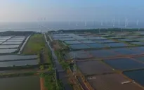 Thúc đẩy năng lượng tái tạo: Thời cơ đã đến