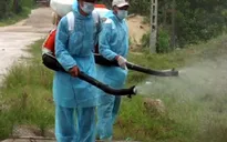 Hà Nội: Giám sát chặt 24 điểm có nguy cơ bùng phát dịch sốt xuất huyết