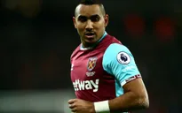 Wenger tuyên bố Arsenal không cần Payet