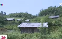 Nghịch lý tại khu định canh định cư ở Cao Bằng