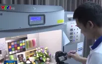 Doanh nghiệp Việt gặp khó khi gia nhập chuỗi cung ứng FDI