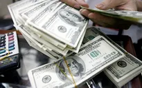 Lượng USD NHNN mua vào tăng mạnh sau điều chỉnh giá