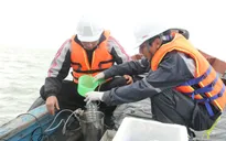 Kiểm tra công tác khắc phục sự cố của Formosa
