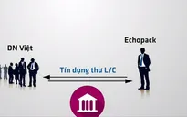 Nhiều doanh nghiệp xuất khẩu thủy sản bị lừa hàng trăm nghìn USD