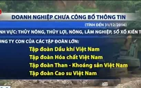 Nhiều DNNN chưa công bố thông tin trên trang thông tin điện tử