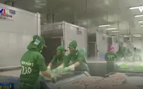 Mỹ loại nhiều DN xuất khẩu thực phẩm và đồ uống của Việt Nam: Do thủ tục?